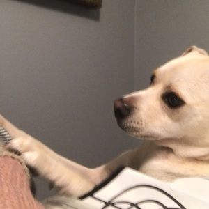 Meet your Posher, Sandra